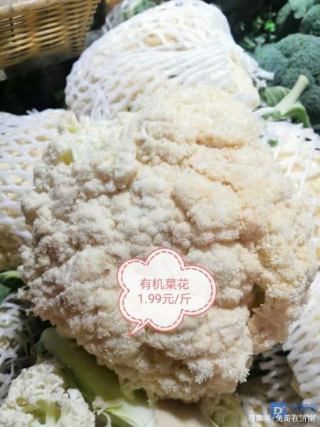 有機(jī)菜花價格最新行情，科技引領(lǐng)綠色生活新潮流趨勢