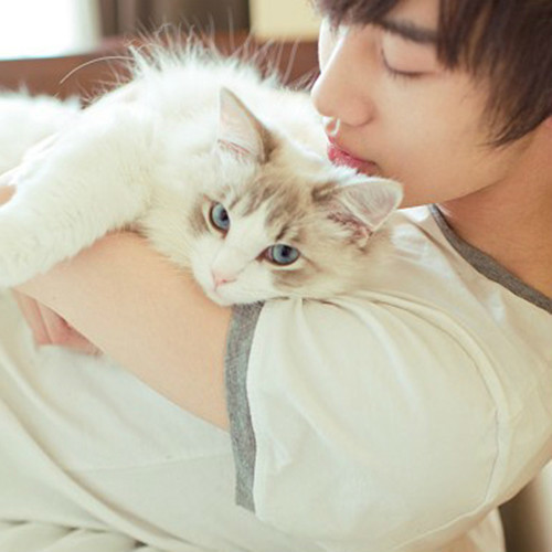 溫馨抱貓日常，最新流行情頭，感受人與貓的深情瞬間