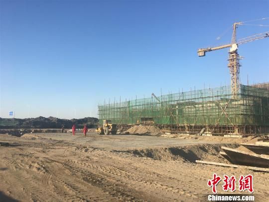 唐山豐南港最新動態(tài)，港口邊的溫情故事