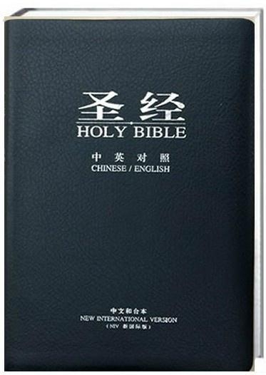 圣經(jīng)最新版本，科技與信仰的交融之作