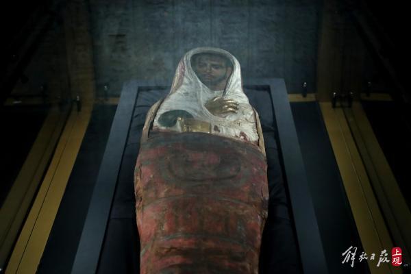 科技前沿，布醫(yī)無名的新產(chǎn)品革新與體驗革新最新章節(jié)