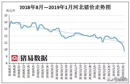 張家口最新豬價動態(tài)分析與趨勢預(yù)測