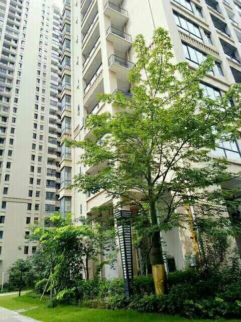 力沃幸福里最新動態(tài)，學習變化，成就自信與幸福之源