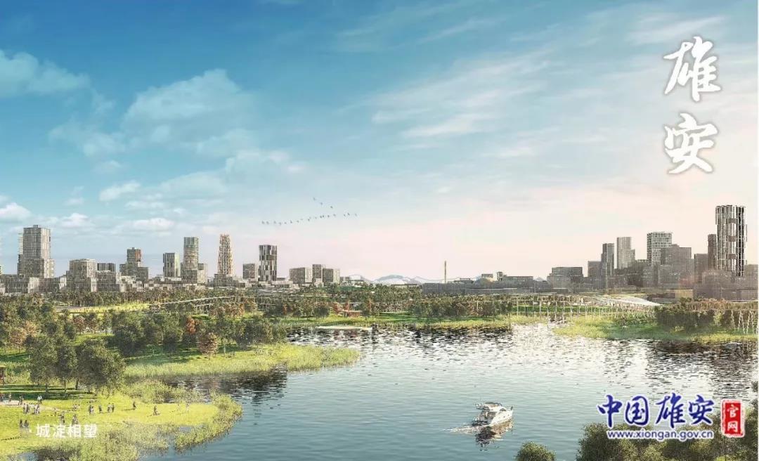 雄安新區(qū)論壇熱議，變化中的自信與成就感的碰撞