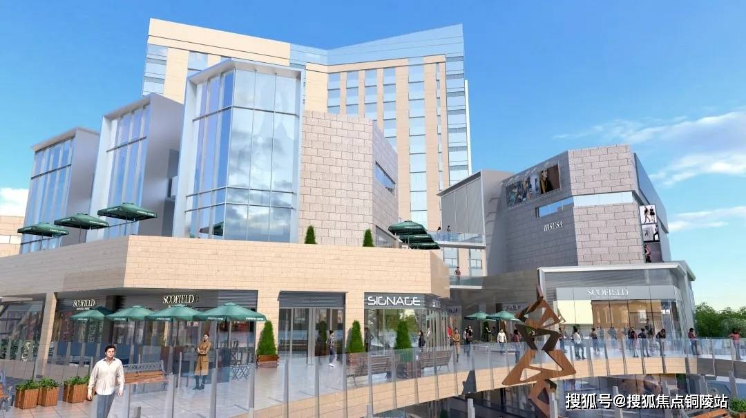 木心最新動態(tài)，探索藝術與生活的新篇章