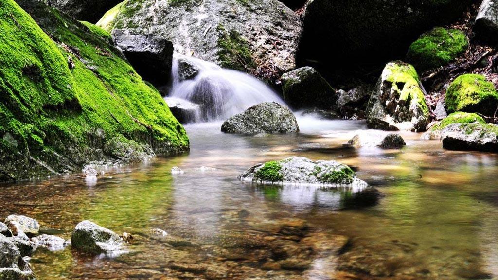 丹東最新招聘信息與自然美景探索，啟程尋找內(nèi)心的寧靜在58同城