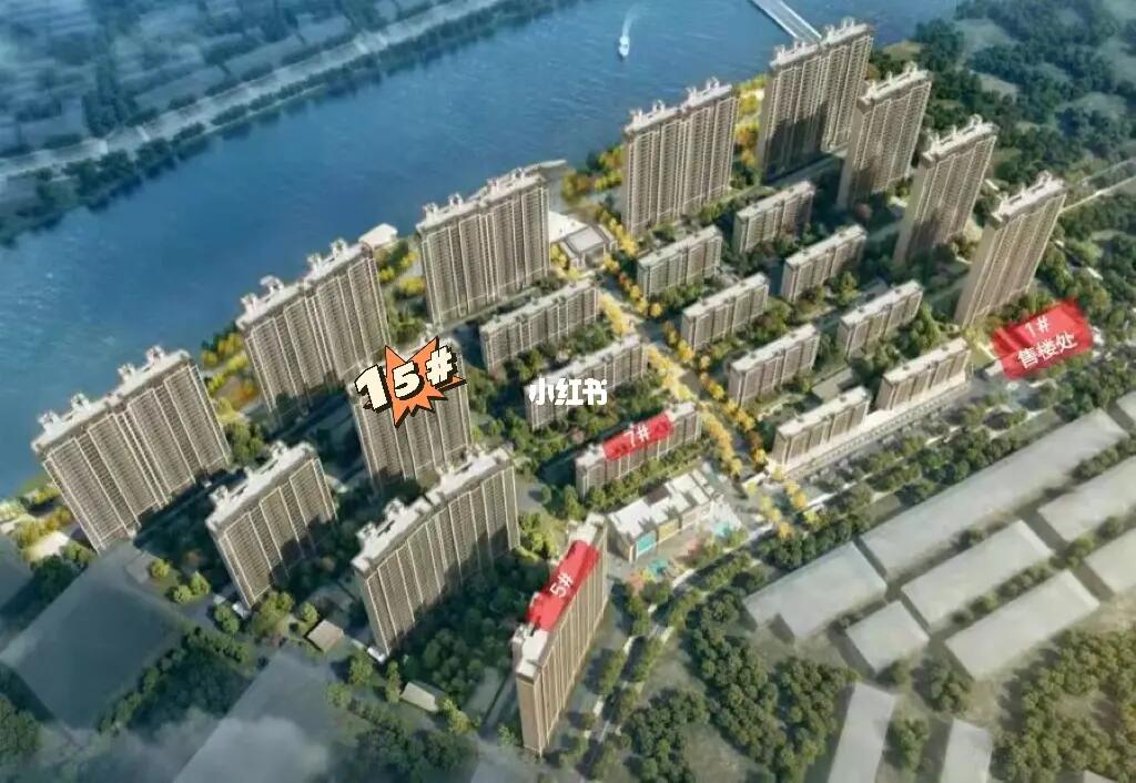 阜寧帝逸國際最新信息一覽，概覽與詳述