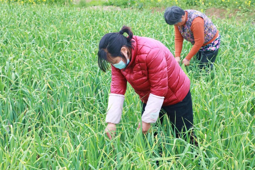 徐州豐縣最新招工信息一覽，獲取指南與招聘信息匯總