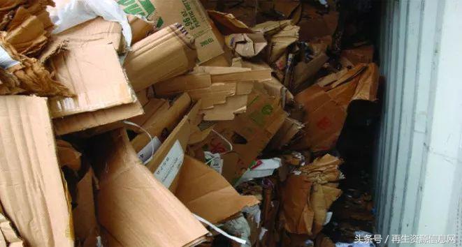 進(jìn)口廢紙最新政策下的隱秘寶藏探索，特色小店探秘之旅