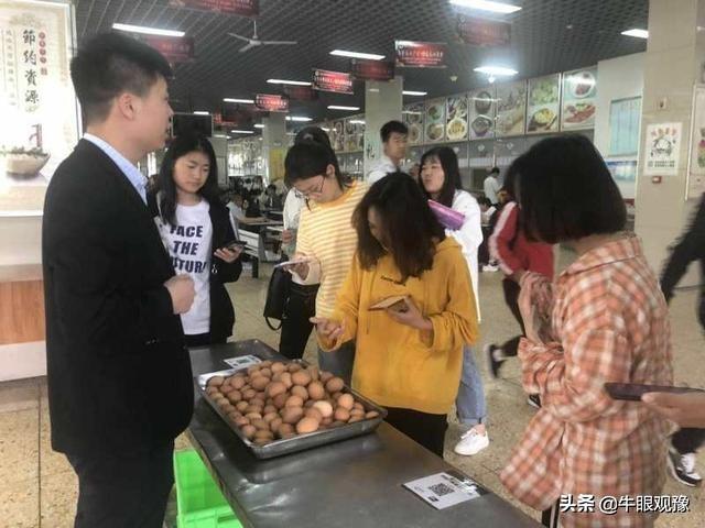 河南洛陽(yáng)雞蛋最新價(jià)格及分析