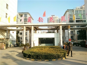 最新社旗獨家小院出售，市場趨勢、正反觀點分析與個人立場探討