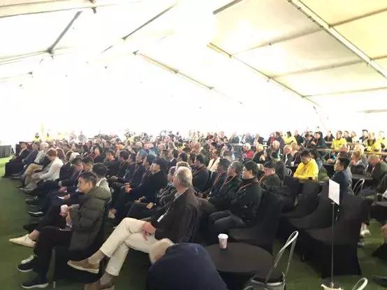 最新鋯英砂價格揭秘，小巷寶藏砂店探秘之旅