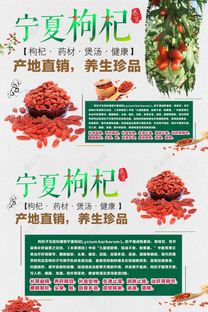 最新枸杞苗收購(gòu)信息匯總