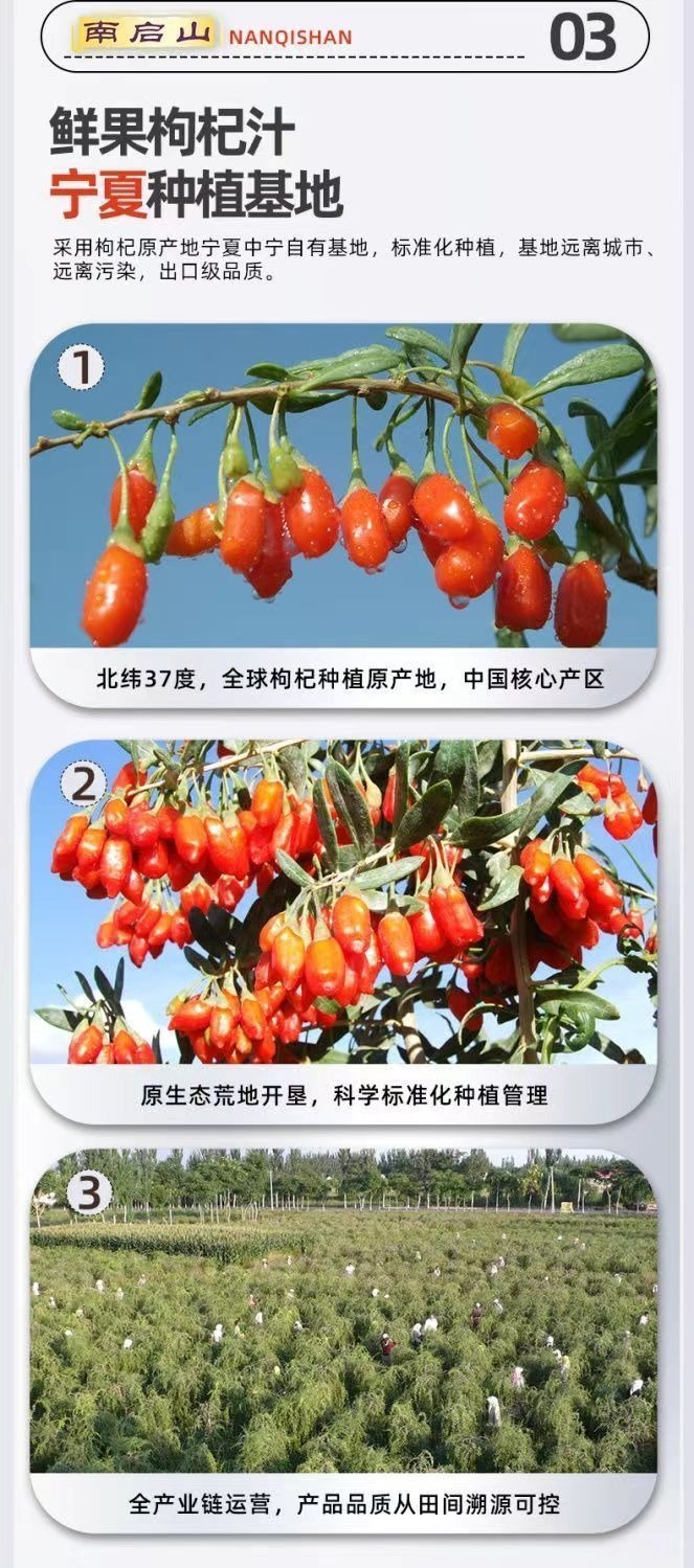 最新枸杞苗收購信息匯總