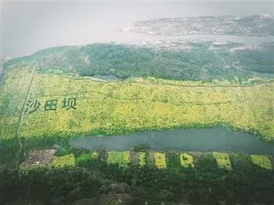 瀘州太伏事件最新進展更新