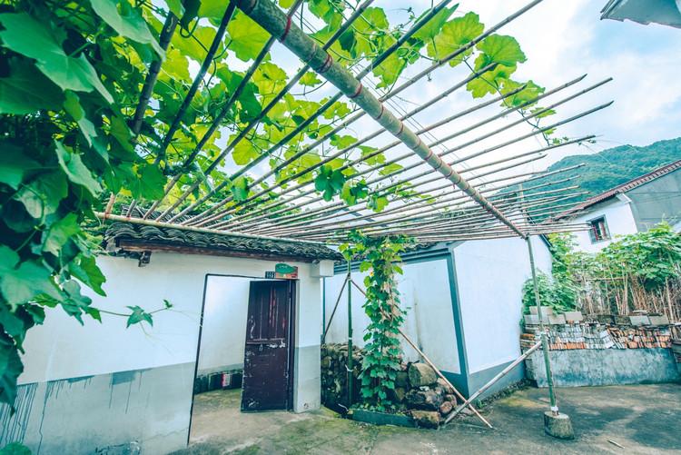 神級茶人最新章節(jié)，探尋自然美景之旅，追尋內(nèi)心平靜之道