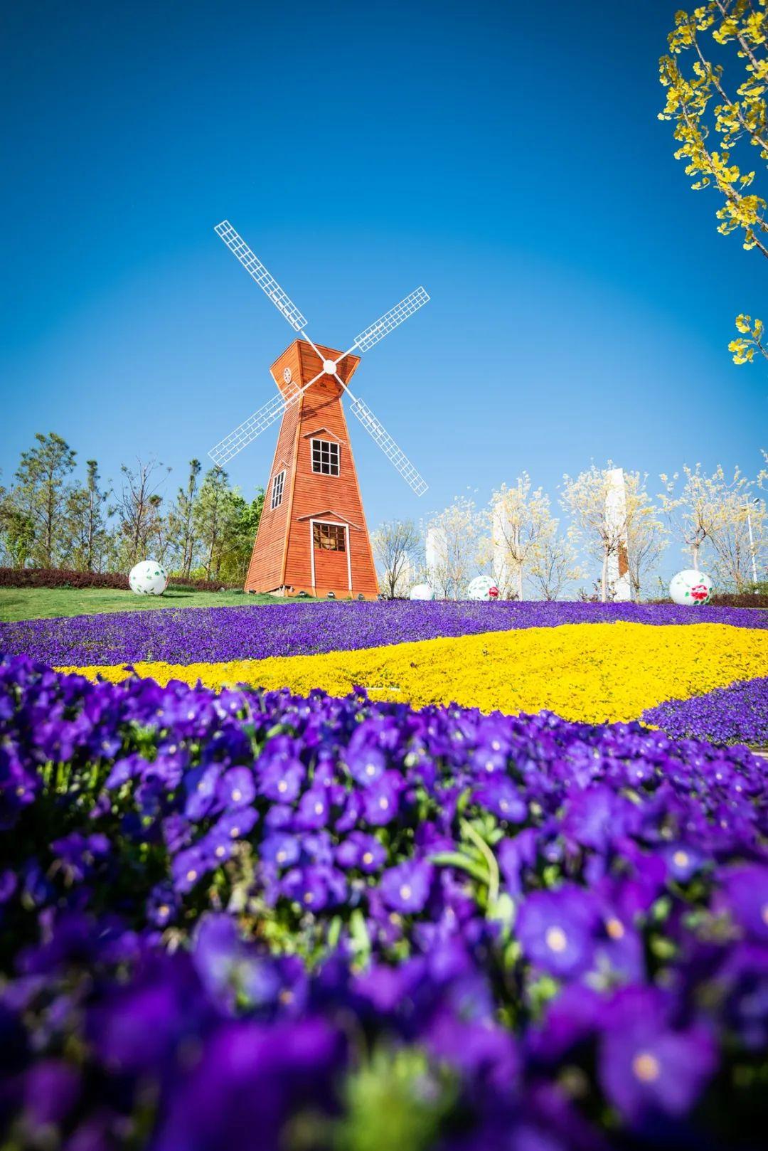 滎陽市最新房?jī)r(jià)動(dòng)態(tài)，時(shí)代印記與城市的脈絡(luò)