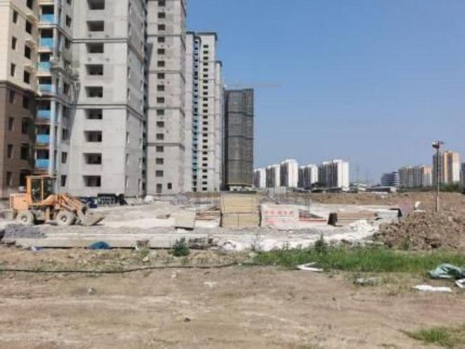 荊州農(nóng)高區(qū)最新動態(tài)，引領(lǐng)農(nóng)業(yè)現(xiàn)代化新篇章