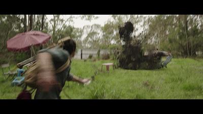 自然共舞的心靈之旅，最新狗狗電影鼓舞人心