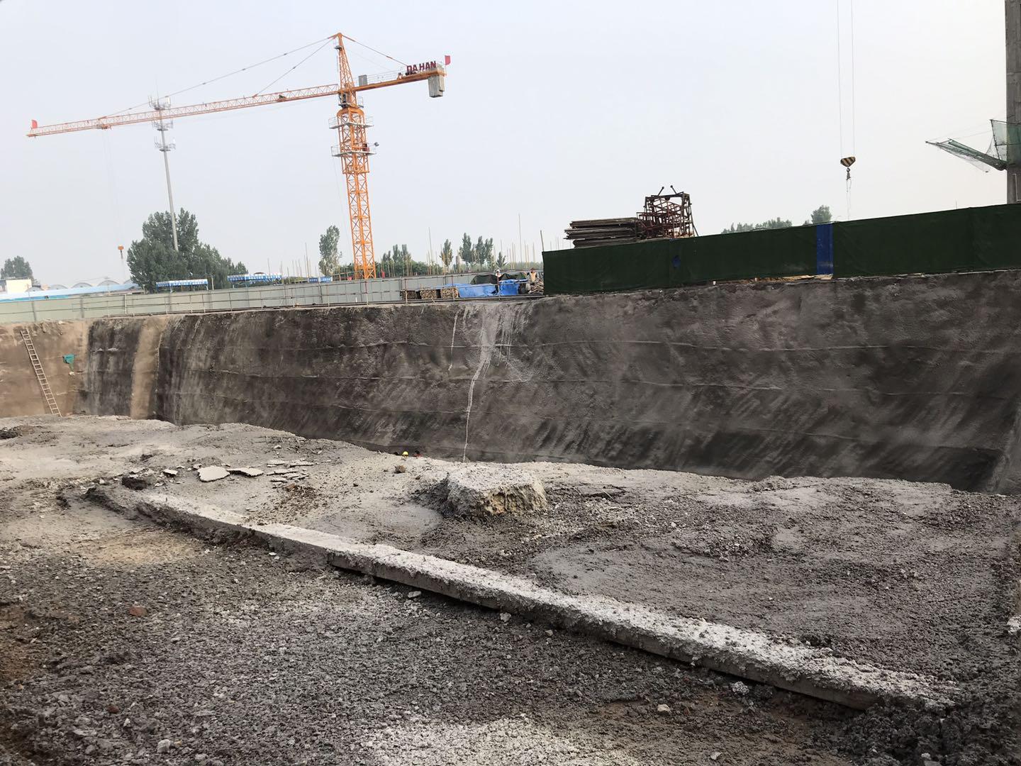 鵬洲麗城最新動(dòng)態(tài)揭秘，小巷中的隱藏瑰寶