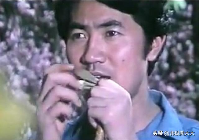 峨眉本地最新招聘信息匯總