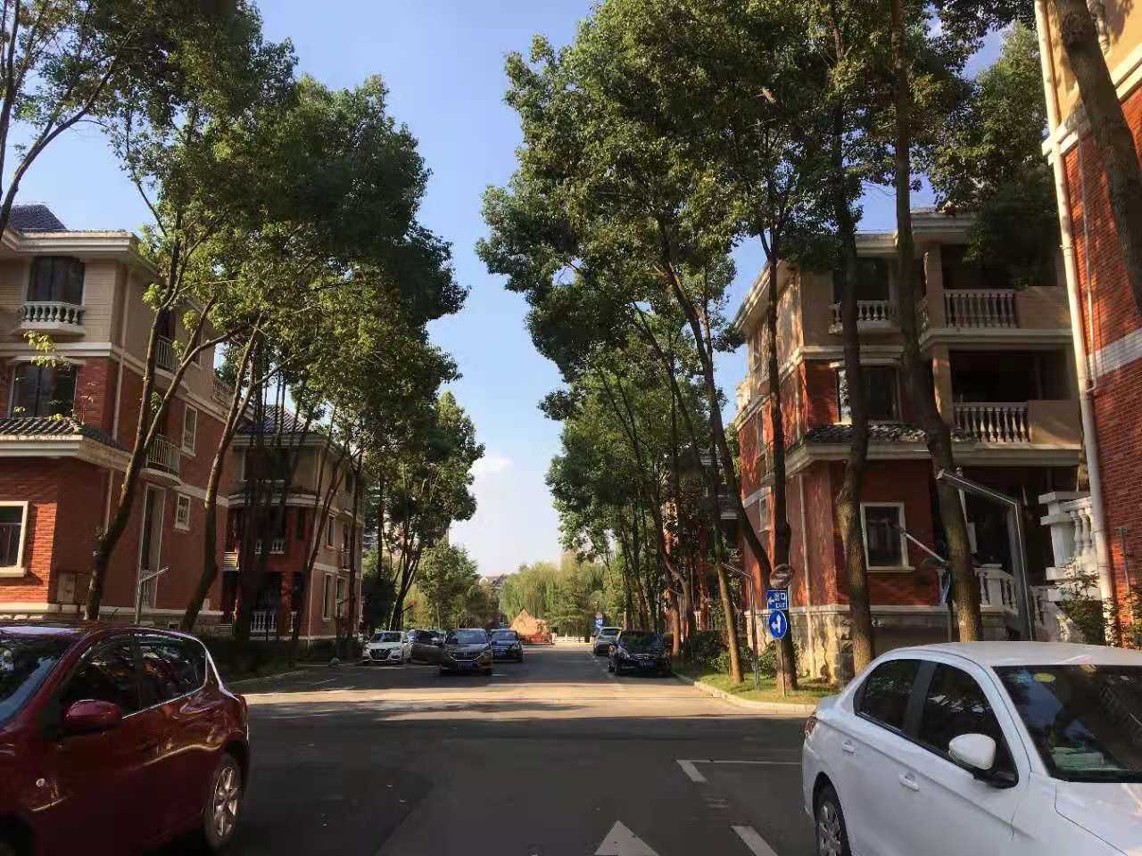 武漢卓峰地產(chǎn)最新動態(tài)揭秘，最新進(jìn)展與動態(tài)更新