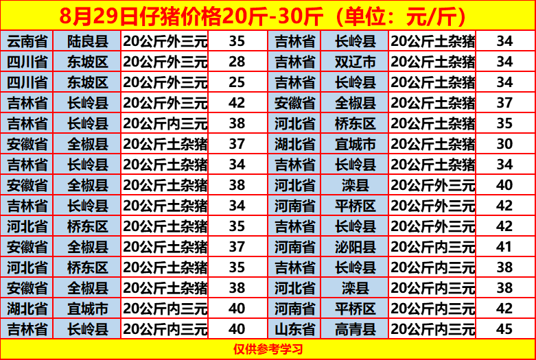 土雜豬最新價格動態(tài)，一場尋找內心平靜的旅程