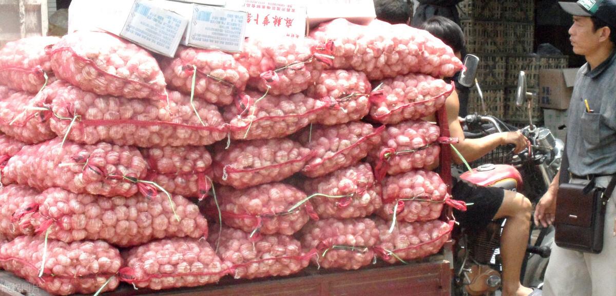 金鄉(xiāng)縣大蒜最新價格揭秘，小巷深處的蒜香寶藏