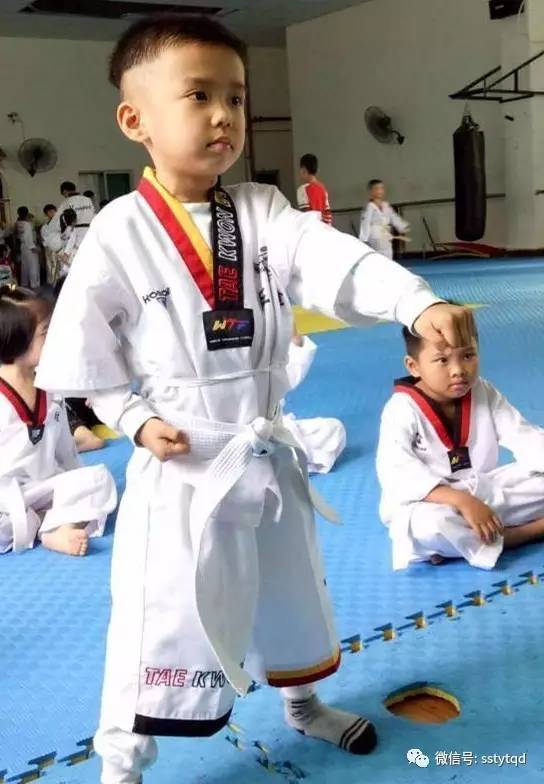 最新跆拳道上課流程，自信與成就感的源泉